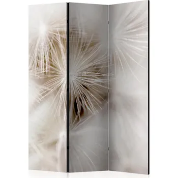 Paraván Paraván - Jemnost Velikost: 135x172 cm, Provedení: Jednostranný