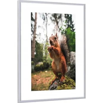 Obraz RÁMEČEK NA FOTOGRAFIE STŘÍBRNÝ HLINÍKOVÝ RÁM 40x50