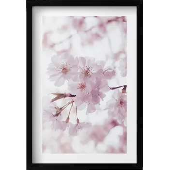 Obraz Dekorativní obraz v rámu do obýváku Jemné světle růžové květy 40x60 cm