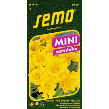 Sazenice SAFARI YELLOW - 30 s