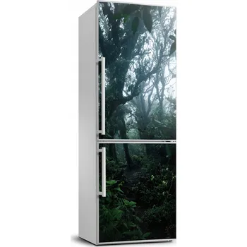 Fototapeta Samolepicí Samolepka na ledničku samolepící pralesa