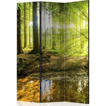 Paraván Paraván - Lesní jezero Velikost: 135x172 cm, Provedení: Jednostranný