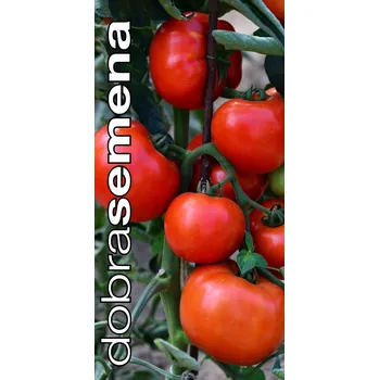 Semeno MOUNTAIN MERIT F1 - 6 s