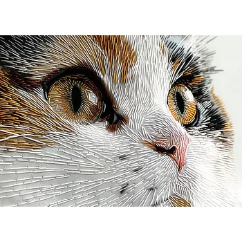 Plakát Plakát Kotě s klubkem vlny - bez rámu 91,5 x 61 cm