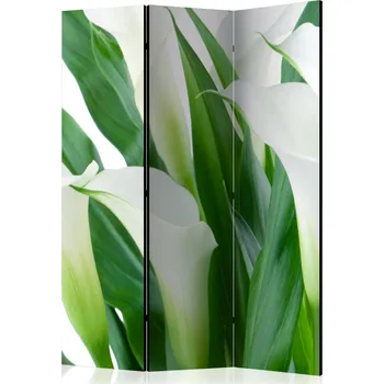 Paraván Paraván - kytice - kallas Velikost: 135x172 cm, Provedení: Oboustranný