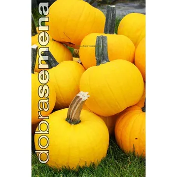 Semeno SUNLIGHT F1 - 7 ks