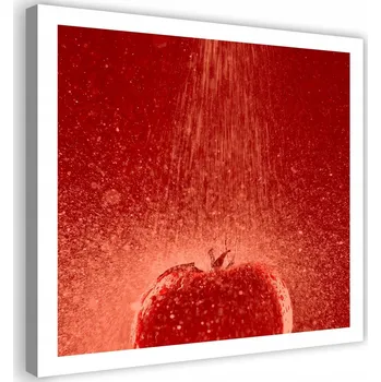 Obraz OBRAZ NA PLÁTNĚ Rajče Kapky Vody 40x40