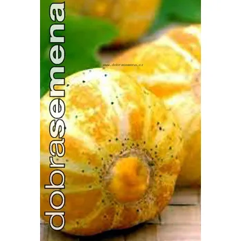 Semeno LEMON CUCUMBER - 15 ks