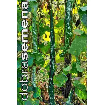 Semeno SPECKLED SNAKE - 10 ks