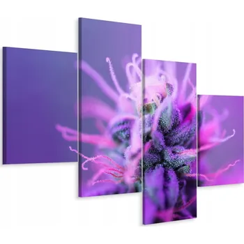 Obraz Obraz ROSTLINA z Blízka 3D Efekt 4 Díly 240x150