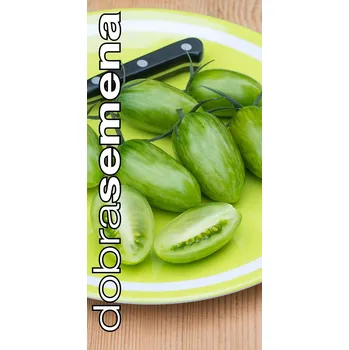 Semeno ARTISAN GREEN TIGER -10 ks