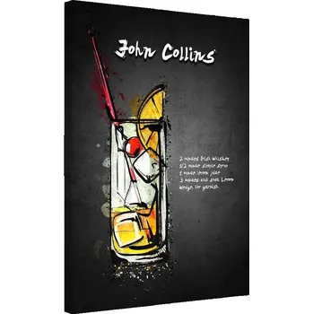 Obraz Obraz na plátně Canvas Koktejl john collins 40x60