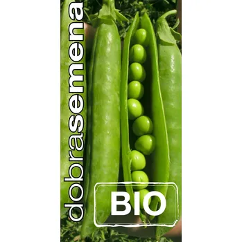 Semeno BIO - HRÁCH - RONDO 20 g