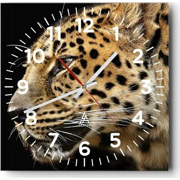 Hodiny Nástěnné hodiny do obýváku 40x40 Zvířata Bezhluczne Skleněné hodiny Tiché