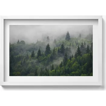 Obraz Nástěnný dekorativní foto obraz v bílém rámu Krajina lesa v mlze 60x40 cm