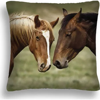 Povlak na dekorativní polštářek Povlak na polštář na spaní 40 x 40 cm