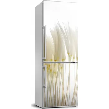 Fototapeta Samolepková nálepka Tapeta lednička Pampeliška 70x190