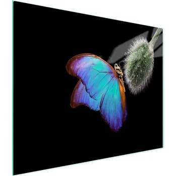 Kuchyňské prkénko Krájecí deska TMK ArtDeko sklo 1 ks