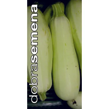 Semeno ALBATÖK - 10 ks