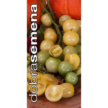 Semeno BIO - RAJČE TYČKOVÉ - SNOW BERRY - 10 ks