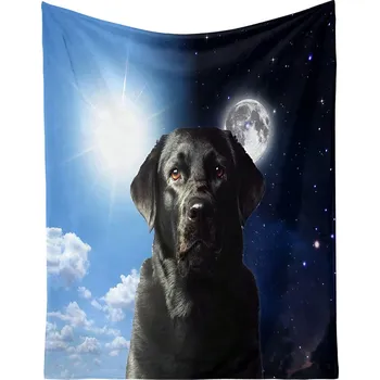 deka Excellent Mikroplyšová hřejivá deka 150x200 cm - Labrador/Den a noc