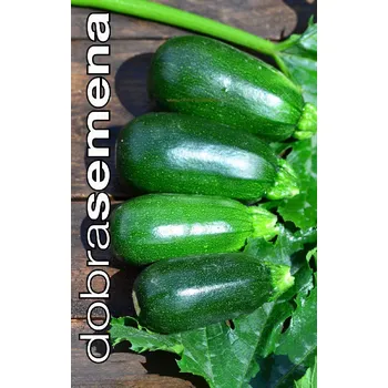 Semeno GREEN GRILLER F1 - 10 ks