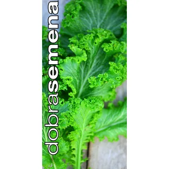 Zelenina SOUTHERN GIANT MUSTARD - 2 g