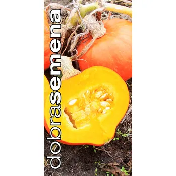 Semeno BIO - TYKEV - AMORO F1 10 s