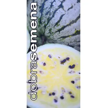 Semeno CREAM OF SASKATCHEWAN 10 ks