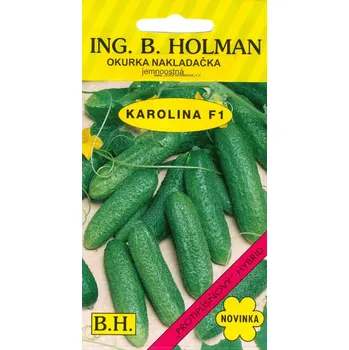 Semeno KAROLINA F1 - 2,5 ks