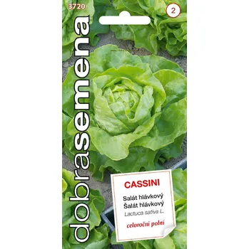 Semeno CASSINI - 0,4 g