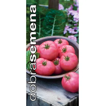 Semeno BIG PINK F1 - 10 ks