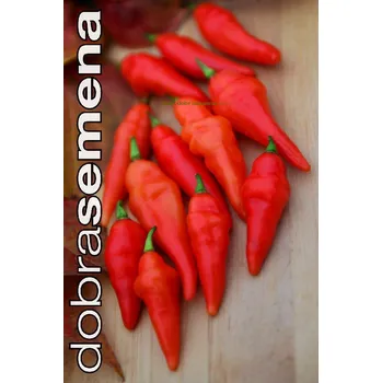 Semeno PIMENTA DIOMAR - 10 ks