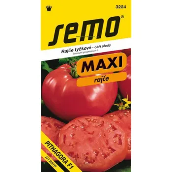 Semeno PITHAGORA F1 - 10 ks