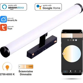 LED Reflektor 2.4GHZ Barrel 12W SMART TRACK 48VDC 2700-6000K Stmívatelný