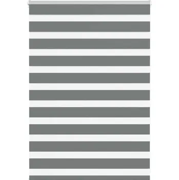 Stavební výplň vidaXL Zebra roleta 115x100 cm šířka látky 110,9 cm polyester [4014212] Barva: Tmavě šedá