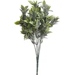 Ruscus zaprášený 28 cm zelená