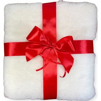 Polštář Polštář IRE SHOES 33 x 36 cm