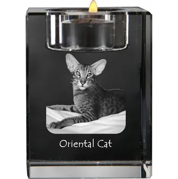 Svícen Orientální - svícen s motivem koně, křišťálový podstavec na čajovou svíčku,