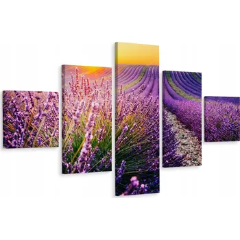Obraz Vícedílný obraz Levandule Květiny Krajina 3D 200x120