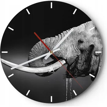 Hodiny Nástěnné hodiny do kuchyně 30x30 Zvířata Skleněné hodiny do obýváku Tiché