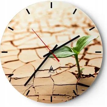 Hodiny Nástěnné hodiny do kuchyně 30x30 Natura Skleněné hodiny do obýváku Loft Tiché