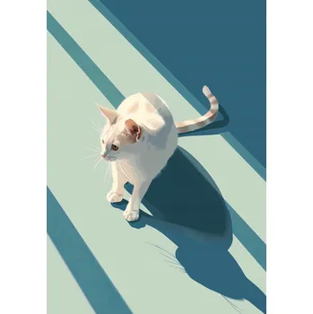 Plakát Plakát Kočičí Persona bez rámu 70 x 100 cm