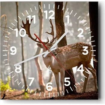 Hodiny Kuchyňské nástěnné hodiny 30x30 Zvířata Skleněné hodiny do obýváku Moderní Tiché