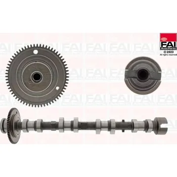 Vačková hřídel Vačkový hřídel FAI AutoParts C530