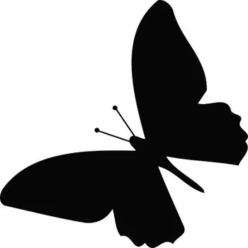 Samolepící dekorace Samolepka na zeď Drukant B011 Motýl 35x35 cm černá
