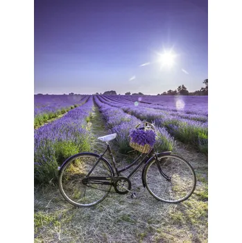Obraz Plakát Kolo s květinami na levandulovém poli 2 bez rámu 39,5 x 55 cm
