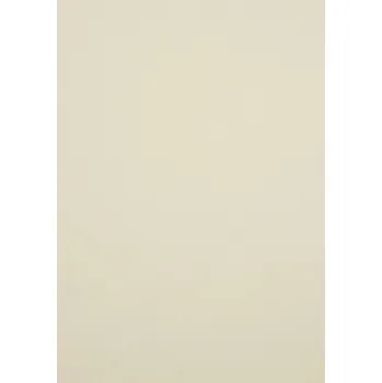 Papír pro tiskárny Ozdobný papír A4 Crush 250 g/m2 50 listů