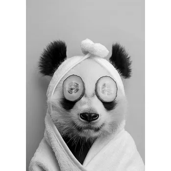 Obraz PLAKÁT BEZ RÁMU do koupelny a toalety s legrační panda P2524_A4