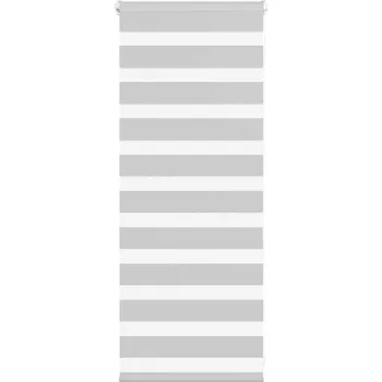 vidaXL Zebra roleta 55x100 cm šířka látky 50,9 cm polyester [4014720] Barva: světle šedá